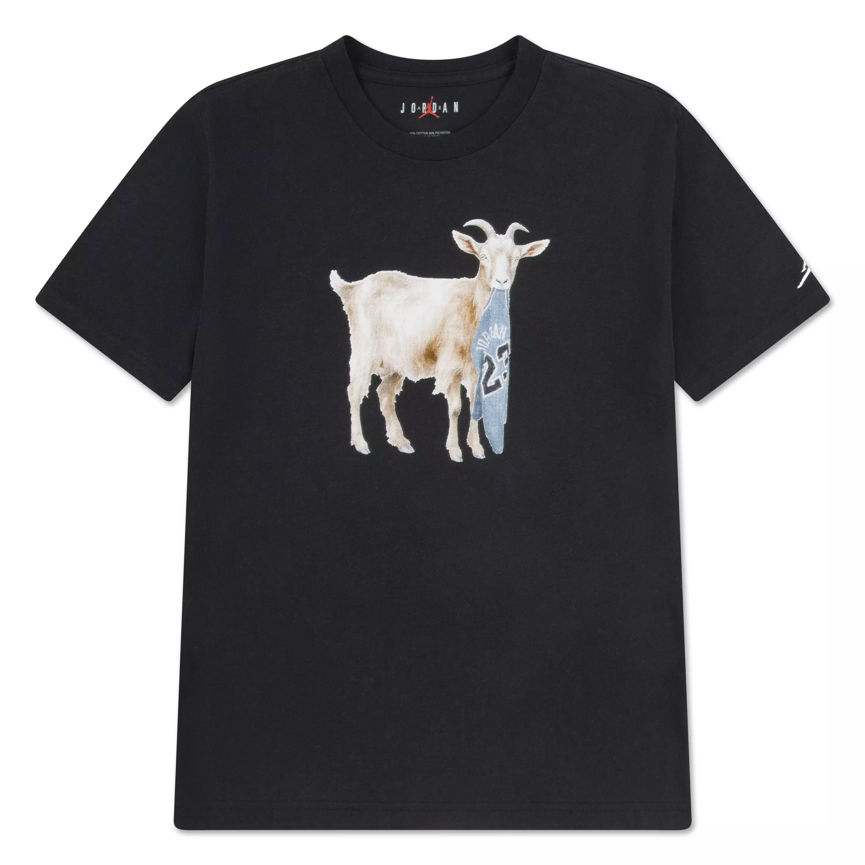 Jordan Big Boys' GOAT Tee -